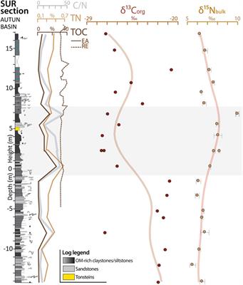 Carbon and Nitrogen Cycle Dynamic in Continental Late-Carboniferous to Early Permian Basins of Eastern Pangea (Northeastern Massif Central, France)